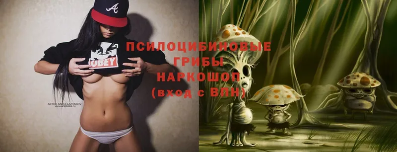 Псилоцибиновые грибы Psilocybe  МЕГА ТОР  Биробиджан 